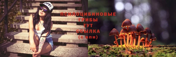 твердый Абаза