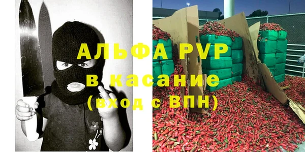 твердый Абаза
