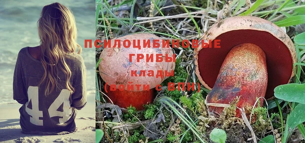 твердый Абаза