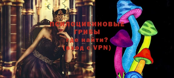твердый Абаза